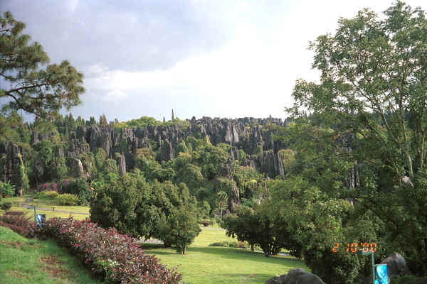 The karst limestone of the Stone Forest - Shilin, Stone Forest County, Yunnan province 0010b12.jpg