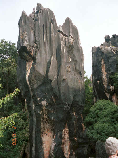 Stone 'tree' - Stone Forest, Shilin, Stone Forest county, Yunnan province 0010b20.jpg