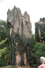 Jpeg 33K Stone 'tree' - Stone Forest, Shilin, Stone Forest county, Yunnan province 0010b20.jpg