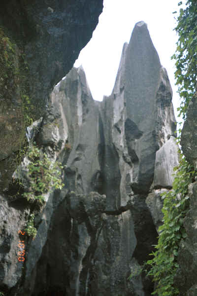 Stone 'tree' - Stone Forest, Shilin, Stone Forest county, Yunnan province 0010b22.jpg