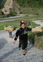 to 69K Jpg image The steamed rice given by Tony's older sister being carried up to the village.