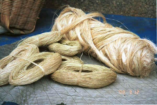 Rolls of spliced hemp in the foreground and a large roll of un-spliced ramie, stripped from the twig but waiting to be spliced.  Note that the ramie is slightly lighter in colour than the hemp which is one of the reasons that it is preferred as it does not take so much effort to bleach it white - Xian Ma village, Hou Chang township, Puding county, Guizhou province 0010y02.jpg