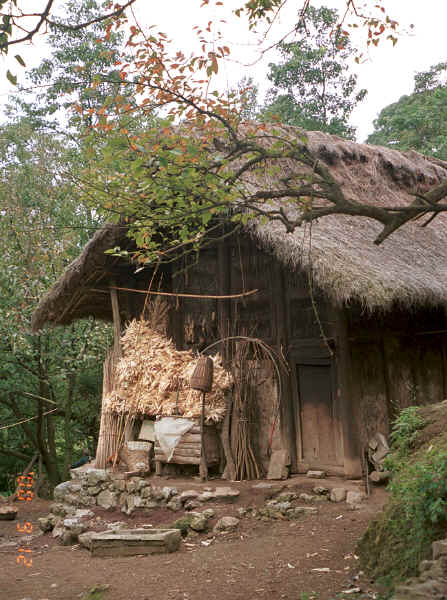 Side Comb Miao house - Xian Ma village, Hou Chang township, Puding county, Guizhou province 0010y22.jpg