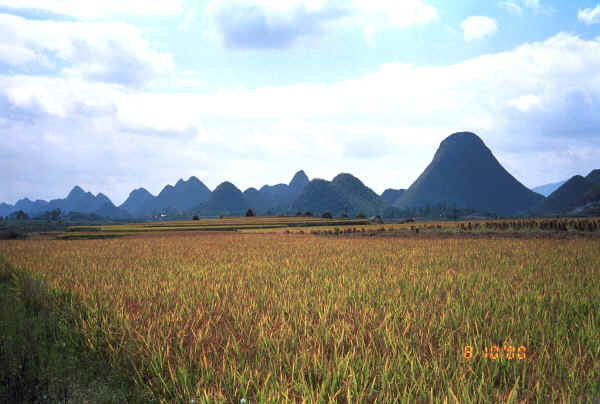 Countryside near Zuo Qi village, Min Gu township, Zhenfeng county, Guizhou province 0010p10.jpg