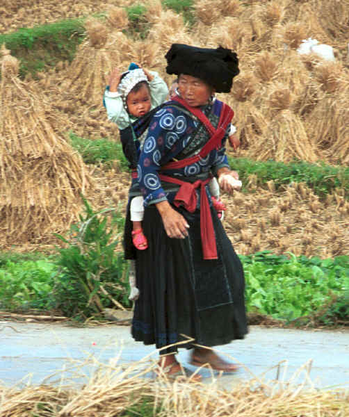 Black Miao woman carrying a baby through the harvested rice field, Zuo Qi village, Min Gu township, Zhenfeng county, Guizhou province 0010q13.jpg