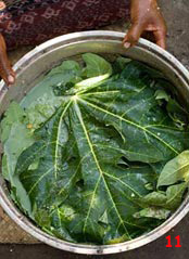 to 79K Jpg - pot containing yarn mixed with mordant ingredients for Morinda (papaya leaf, candlenut, loba leaf), to be heated up on the fire, Watublapi