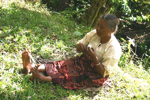 54K Jpeg 0184 Winding the cotton thread off into balls after spinning - one of the weavers of Watublapi, Flores, who use homegrown cotton and natural dyes for their weaving, showing their traditional weaving skills (2004)