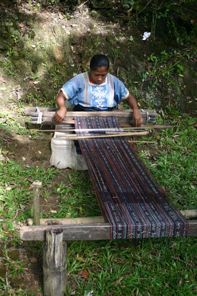 55K Jpeg 0188 Weaving a lenghth of fabric for a sarong - one of the weavers of Watublapi, Flores, who use homegrown cotton and natural dyes for their weaving, showing their traditional weaving skills (2004).