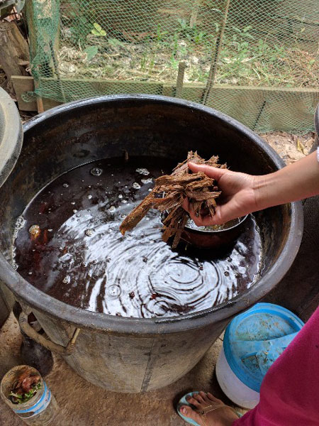 Showing us the dyeing process using sappan wood. We also saw them using stick lac.