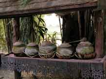 to Jpeg 52K Dye pots at Baan Rai Pai Ngarm textile museum  3368