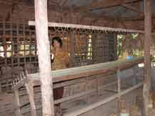 to Jpeg 55K Warping up the thread at Baan Rai Pai Ngarm textile museum  3369