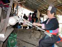 to Jpeg 63K White Hmong woman in Ban Pha-nok-kok village weaving hemp cloth  3446