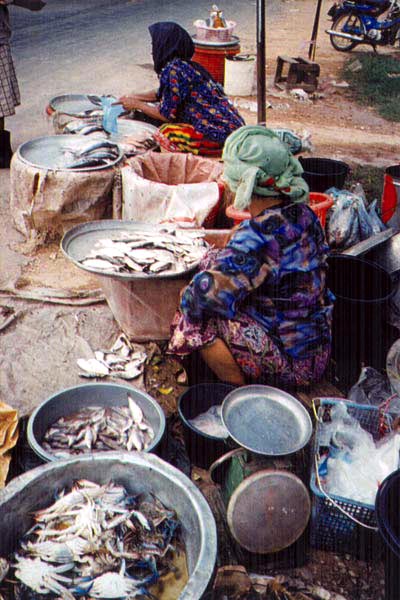 ss17 Jpeg 52K Muslim women at a market in Narathiwat, South Thailand.