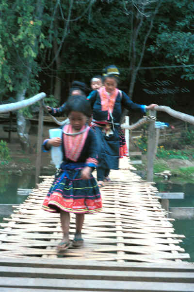 Blue Hmong mother and children crossing a slit bamboo bridge near the 'fish cave' close to Mae Hong Son 8812k03