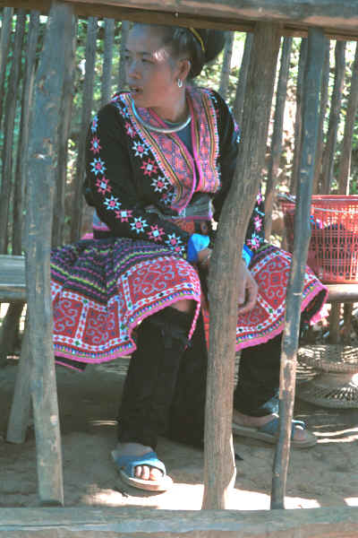 Blue Hmong woman dressed in all her finery in a village on Doi Suthep above Chiang Mai 8812l05