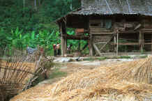 to Jpeg 48K The elephant mahouts' lodgings near Mae Hong Son, northern Thailand 8812j22.jpg