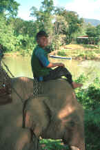 to Jpeg 35K Karen mahout taking a rest on his elephant near Mae Hong Son, northern Thailand 8812j31.jpg