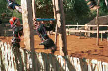 to Jpeg 39K U Lo-Akha boys on the swing at the entrance to a village in the hills around Chiang Rai 8812p35.jpg