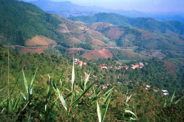 Looking down onto a Mien (Yao) village in the hills around Chiang Rai in Northern Thailand 8812q01