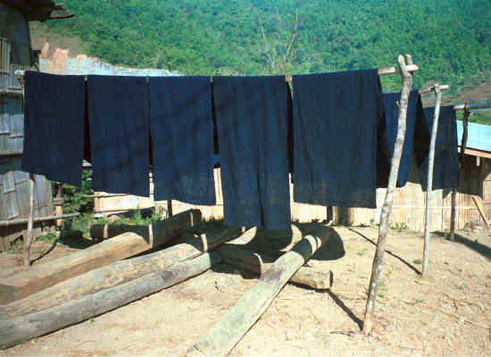 Lengths of indigo dyed fabric drying in the sun in a Yao village in the hills around Chiang Rai 8812q07.jpg