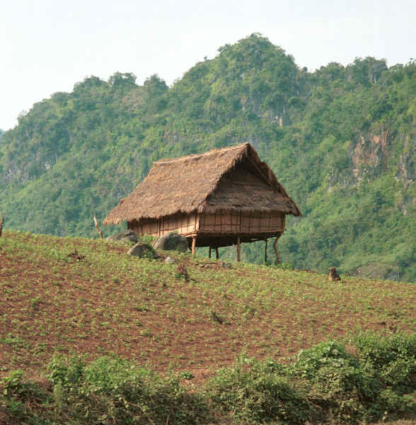 Jpeg 51K Black Thai building - probably for storing rice rather than a house as there is little sign of the traditional balcony around it.  At the side of the road from Son La to Dien Bien Phu, Son La Province. 9510C13.JPG