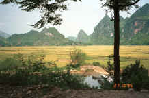 to Jpeg 35K Down in the valley on the road from near to Son La heading towards to Dien Bien Phu in Son La Province 9510C16.JPG