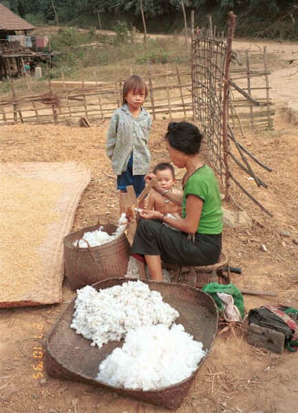 Jpeg 38K Black Thai woman putting cotton bolls through a local equivalent of a cotton gin to remove the seeds at a house by the roadside on the way to Dien Bien Phu from Son La, Lai Chau Province 9510C35.JPG