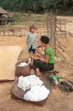 to Jpeg 38K Black Thai woman putting cotton bolls through a local equivalent of a cotton gin to remove the seeds at a house by the roadside on the way to Dien Bien Phu from Son La, Lai Chau Province 9510C35.JPG