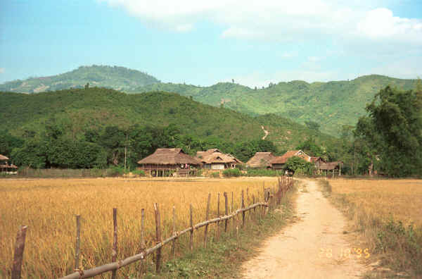 Jpeg 27K Looking across to the beautifully situated Black Thai village at the head of the valley where Dien Bien Phu is situated.  Several photos in the Photo gallery were taken in this village. 9510D34.JPG