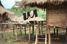 to Jpeg 40K Cloth - probably cotton - hanging out to dry and oxidise after being dyed in indigo.  Black Thai village near Dien Bien Phu, Lai Chao Province 9510F22.JPG