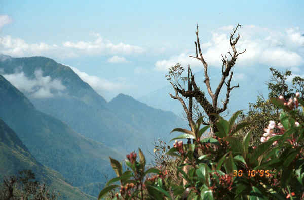 Jpeg 26K Climbing over the pass near Fan Si Peak in the mountains to the north of Sa Pa 9510H18.JPG