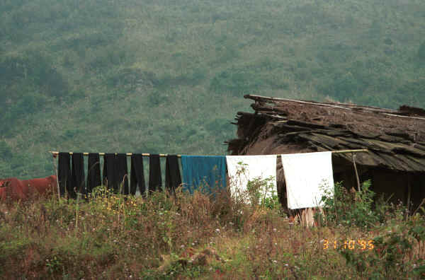 Jpeg 28K Black Hmong fabric hanging on the line in the hills around Sa Pa, Lao Cai Province.  The dark narrow weave strips will be hand woven indigo dyed cotton or hemp drying and oxidising after one of the many dippings it will have had in the indigo dye bath. 9510J03.JPG