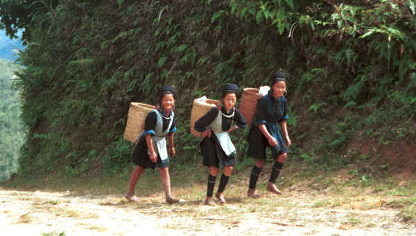 Jpeg 29K Black Hmong girls climbing back to their village in the hills around Sa Pa, Lao Cai Province 9510K15.JPG