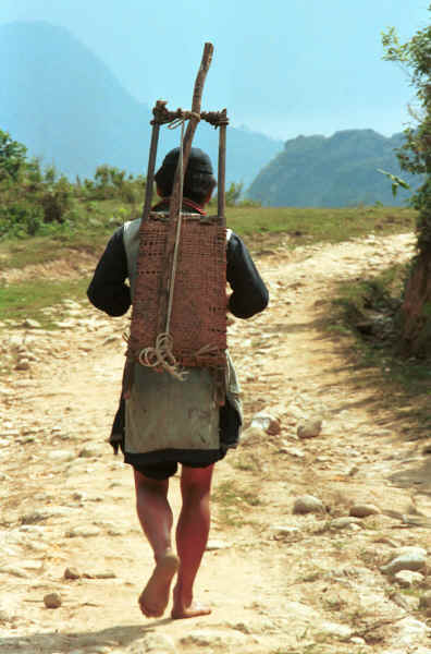 Jpeg 31K Black Hmong man in the hills around Sa Pa, Lao Cai Province returning home from the rice harvest with a rice thresher on his back 9510K18E.JPG