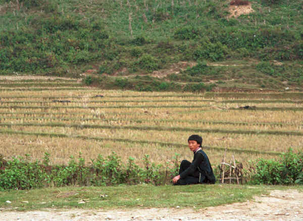 Jpeg 41K Black Hmong boy resting at the side of the road after threshing the rice in the fields in the hills around Sa Pa, Lao Cai Province 9510K22.JPG