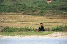 to Jpeg 41K Black Hmong boy resting at the side of the road after threshing the rice in the fields in the hills around Sa Pa, Lao Cai Province 9510K22.JPG