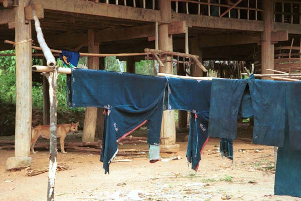 Jpeg 41K 9511A09 Dao Quan Trang women's every day jackets and trousers hanging out to dry. Luong village, Lao Cai province in 1995 shortly after leaving Sa Pa for the town of Lao Cai.