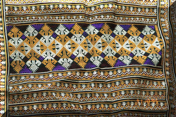 Close-up of the embroidery on the bottom of the back panel of a Dzao woman's coat 9510j33.jpg