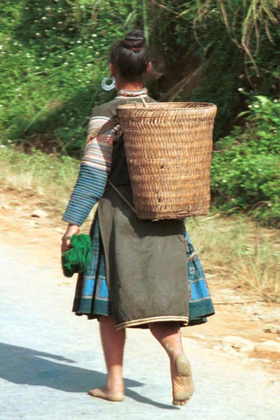 Jpeg 52K  510A35 Hmong woman walking along the road from Moc Chau to Son La in Son La province.  There is some similarity of costume between these Hmong and photos of Black Hmong in Mai Chau district, Hoa Binh province shown in Hill Tribes of Vietnam, Volume 1 by Joachim Schliesinger. Son La province borders on Hoa Binh province in the far south east with the Moc Chau and Mai Chau districts adjacent. The hair style of the woman is also similar to that shown in the Schliesinger Black Hmong photos.