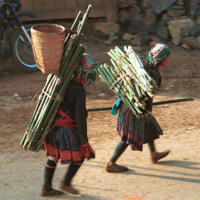 Jpeg 46K 9510G34  Hmong, possibly Flowery Hmong, walking home in the early evening through the town of Phong Tho (Phong Thanh) in Lai Chau Province with their burden of cut bamboo.