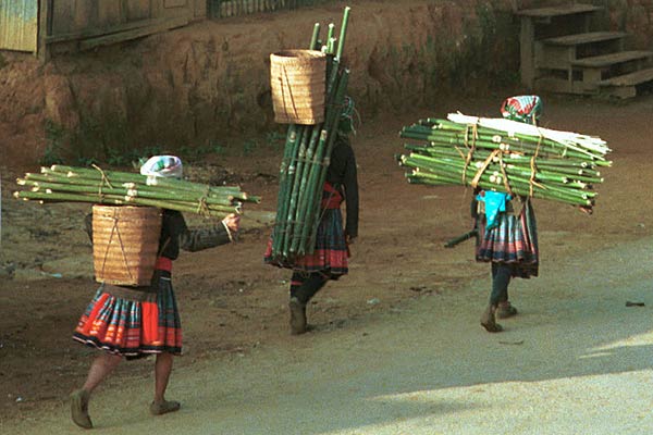 Jpeg 45K 9510G36  Hmong, possibly Flowery Hmong, walking home in the early evening through the town of Phong Tho (Phong Thanh) in Lai Chau Province with their burden of cut bamboo.